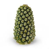 PINEAPPLE MORRIS (1 pcs per unit)