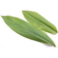 Daun Kunyit (sold by kg)