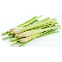 Serai 500g bundle (sold by bundle)