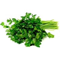 Italian Parsley (sold by kg)