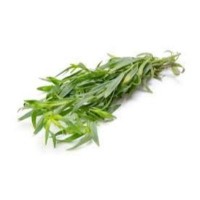 Tarragon 50g pack (sold by pack)